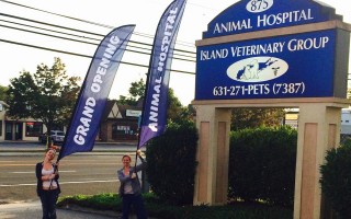 Two team members waving flags that say "grand opening" next to the Island Veterinary Group sign