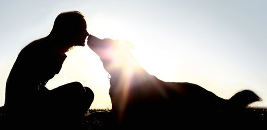 The outlines of a woman and her dog touching noses with the sun behind them